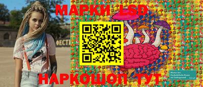 стафф Дубна