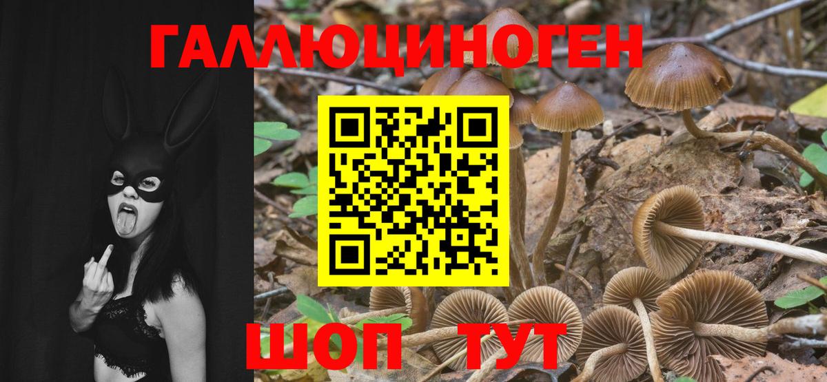Псилоцибиновые грибы Magic Shrooms  как найти   Минусинск  Вход с VPN 